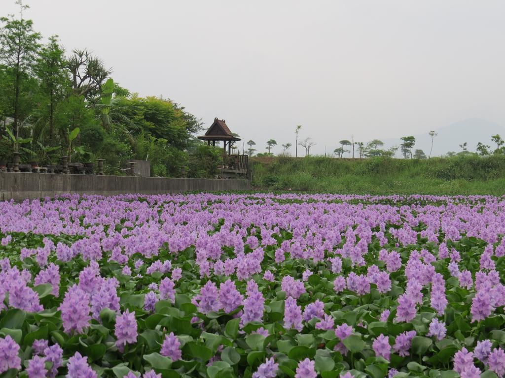 Beautiful Yilan Resort Dongshan (Yilan) Exterior foto
